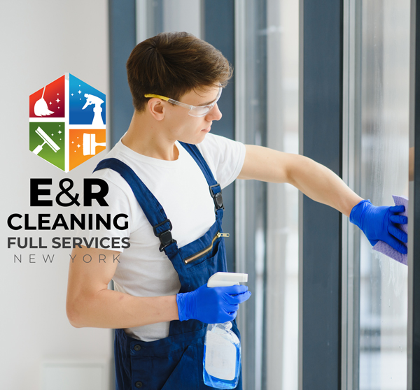 Furniture and window cleaning service